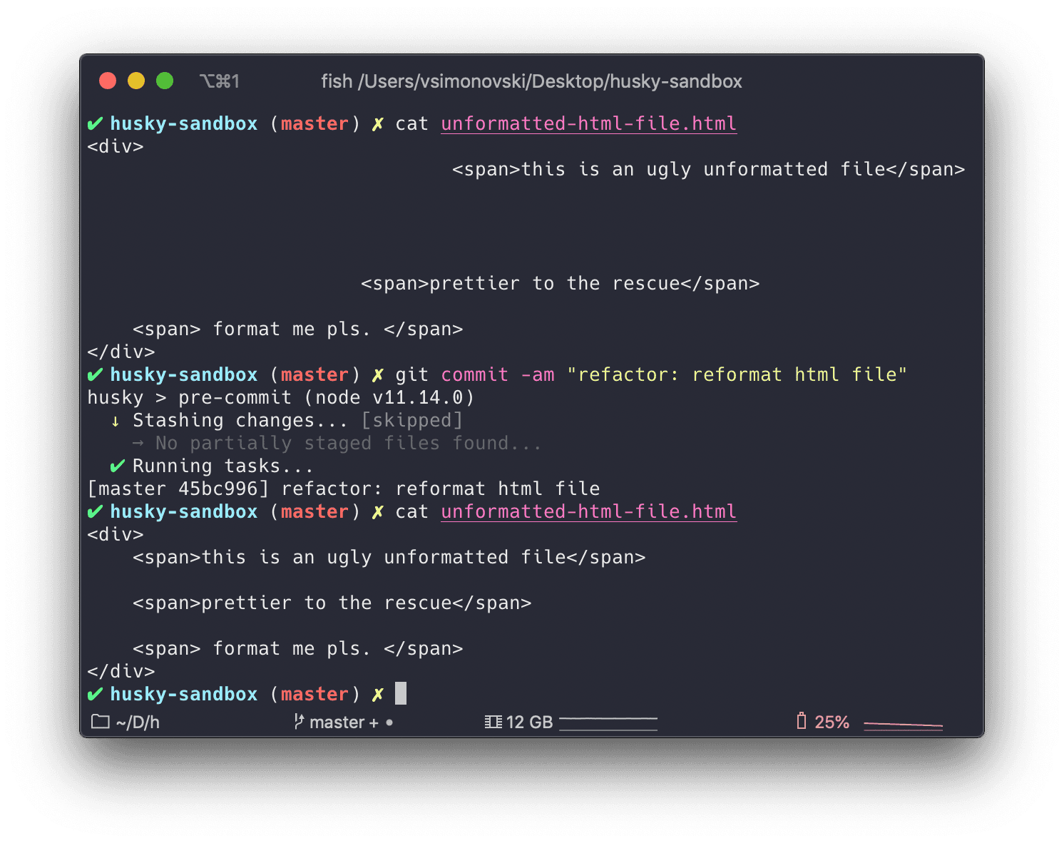 formatting with prettier