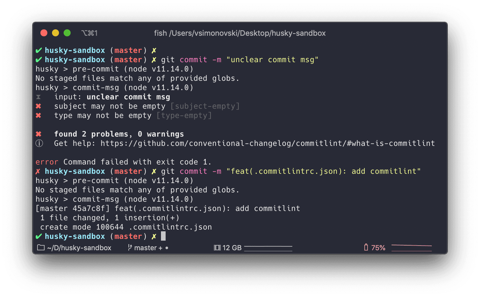 commitlint error message